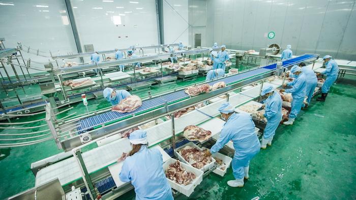 養豬,種稻,推進農產品深加工,這家企業以"園區化"引領農.