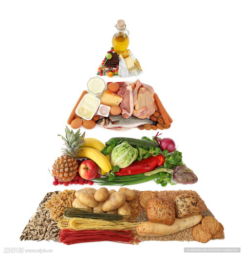 食物金字塔設計圖