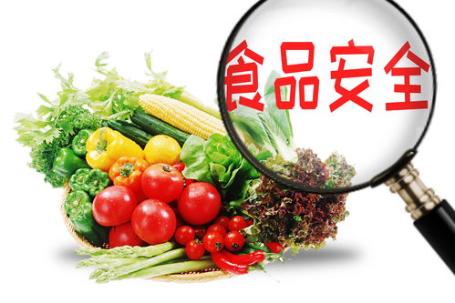 今日高考熱點 食品質量與安全專業是什么專業 開設院校有哪些
