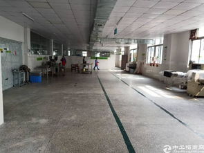 龍崗原房東食品廠出租樓上兩層3200平