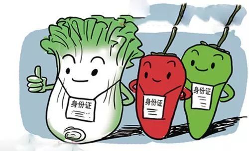 海門154所學校食堂安全狀況怎么樣 春季學校食品安全專項檢查結果公布