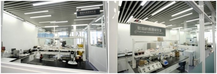 上海技術服務有限公司 專業驅動，智領未來